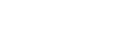 Logo RIS